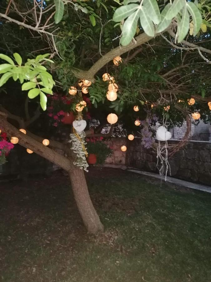 Villa Angela Dhrousha Dış mekan fotoğraf