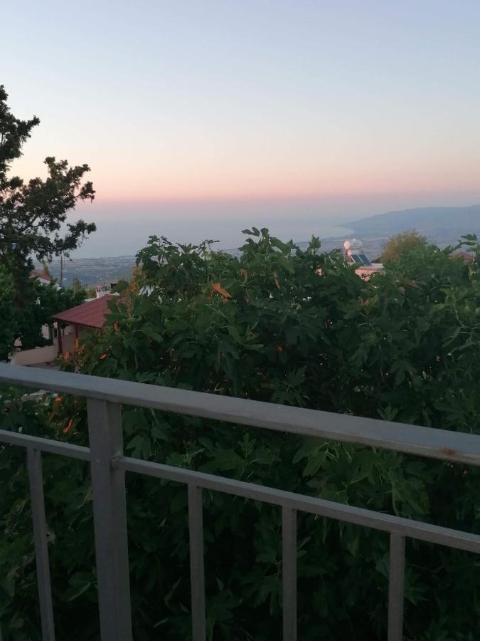 Villa Angela Dhrousha Dış mekan fotoğraf
