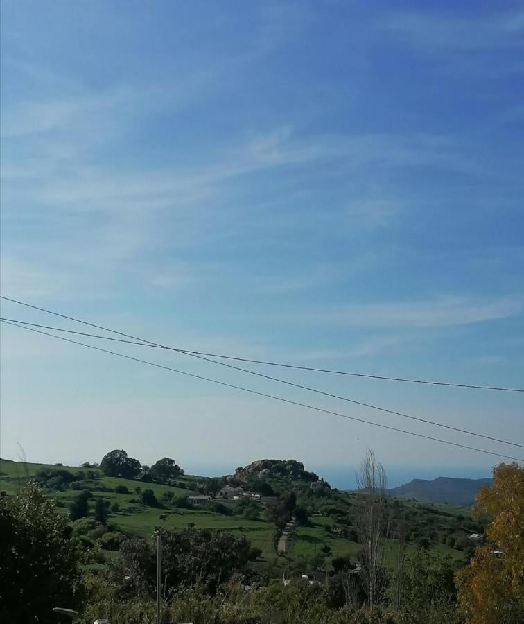 Villa Angela Dhrousha Dış mekan fotoğraf