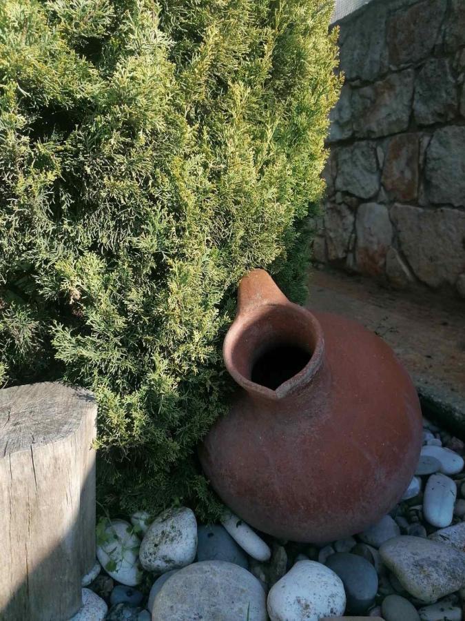 Villa Angela Dhrousha Dış mekan fotoğraf