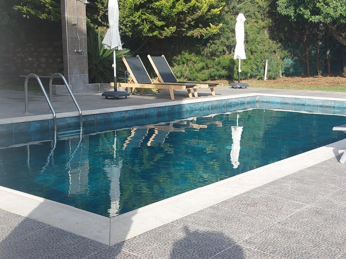 Villa Angela Dhrousha Dış mekan fotoğraf
